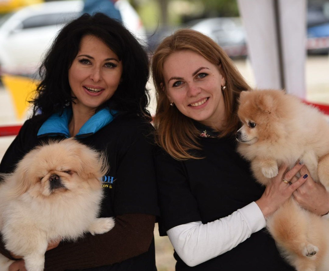 Кинологическое шоу в Экопарке: фото 2