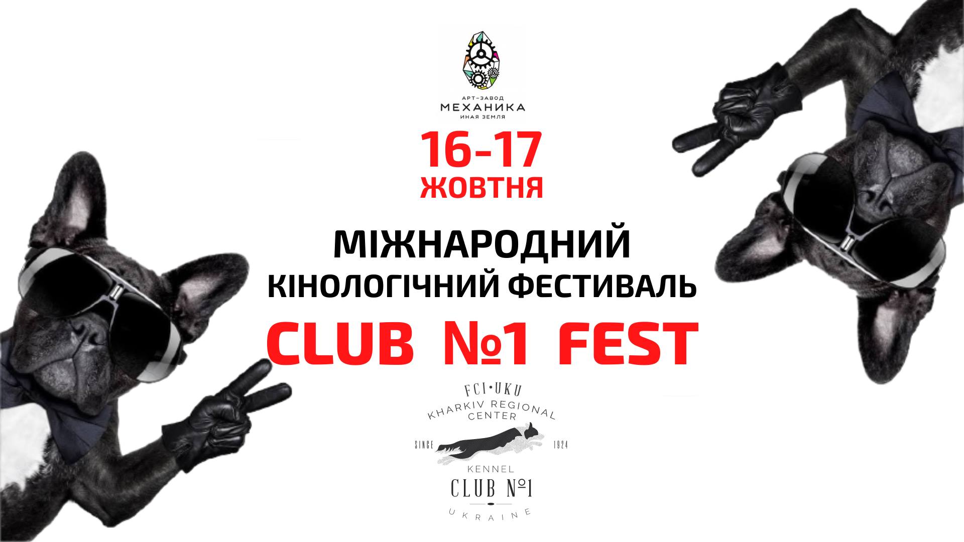 Кинологический фестиваль Club№1Fest: фото 1