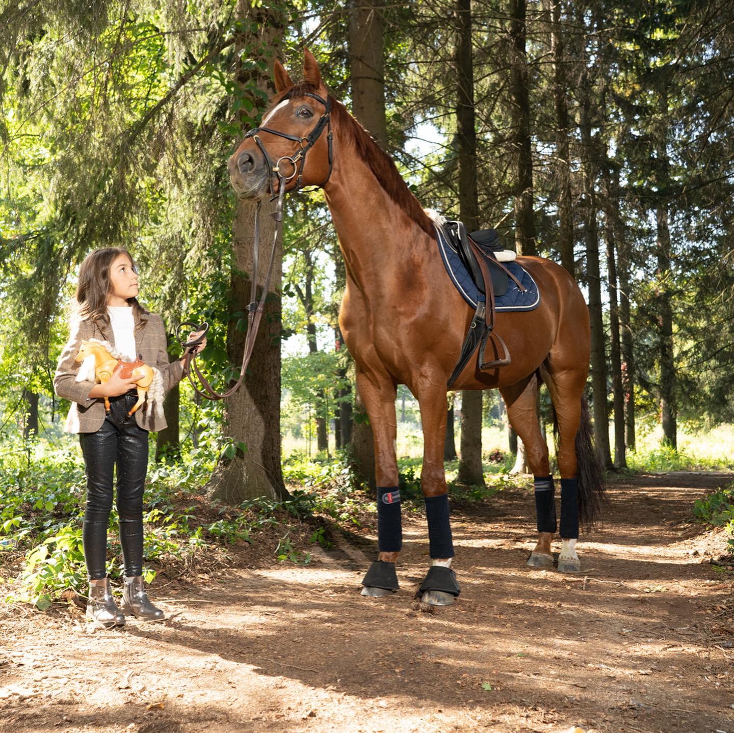 Фестиваль верховой езды и конного спорта Horses Spirit: фото 3