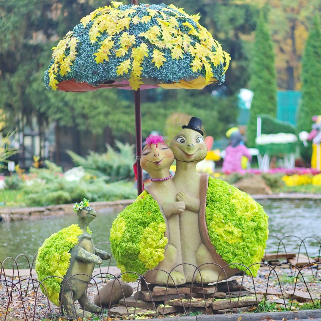 Бал хризантем в Экопарке: фото 1