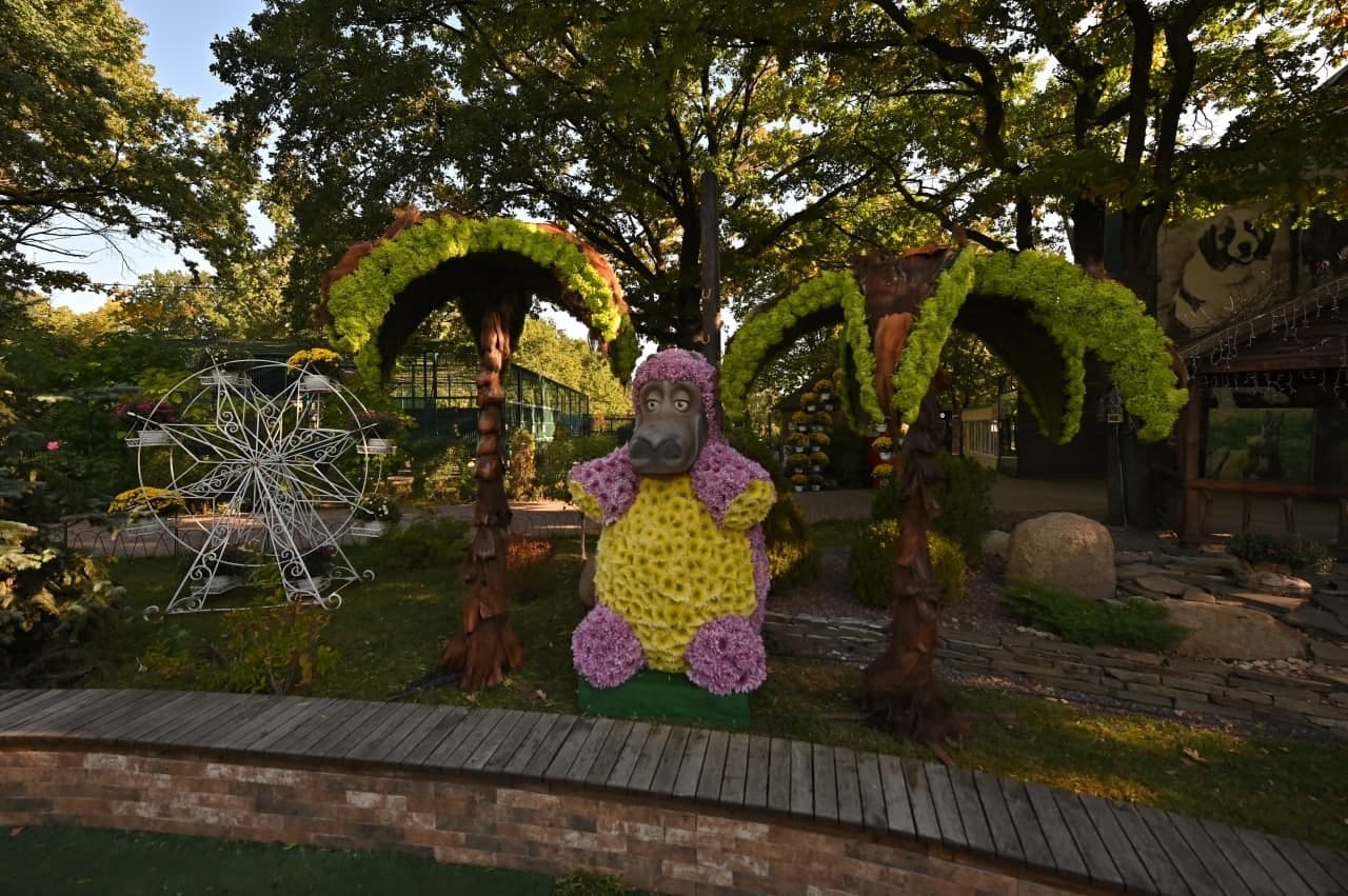 Бал хризантем в Экопарке: фото 3