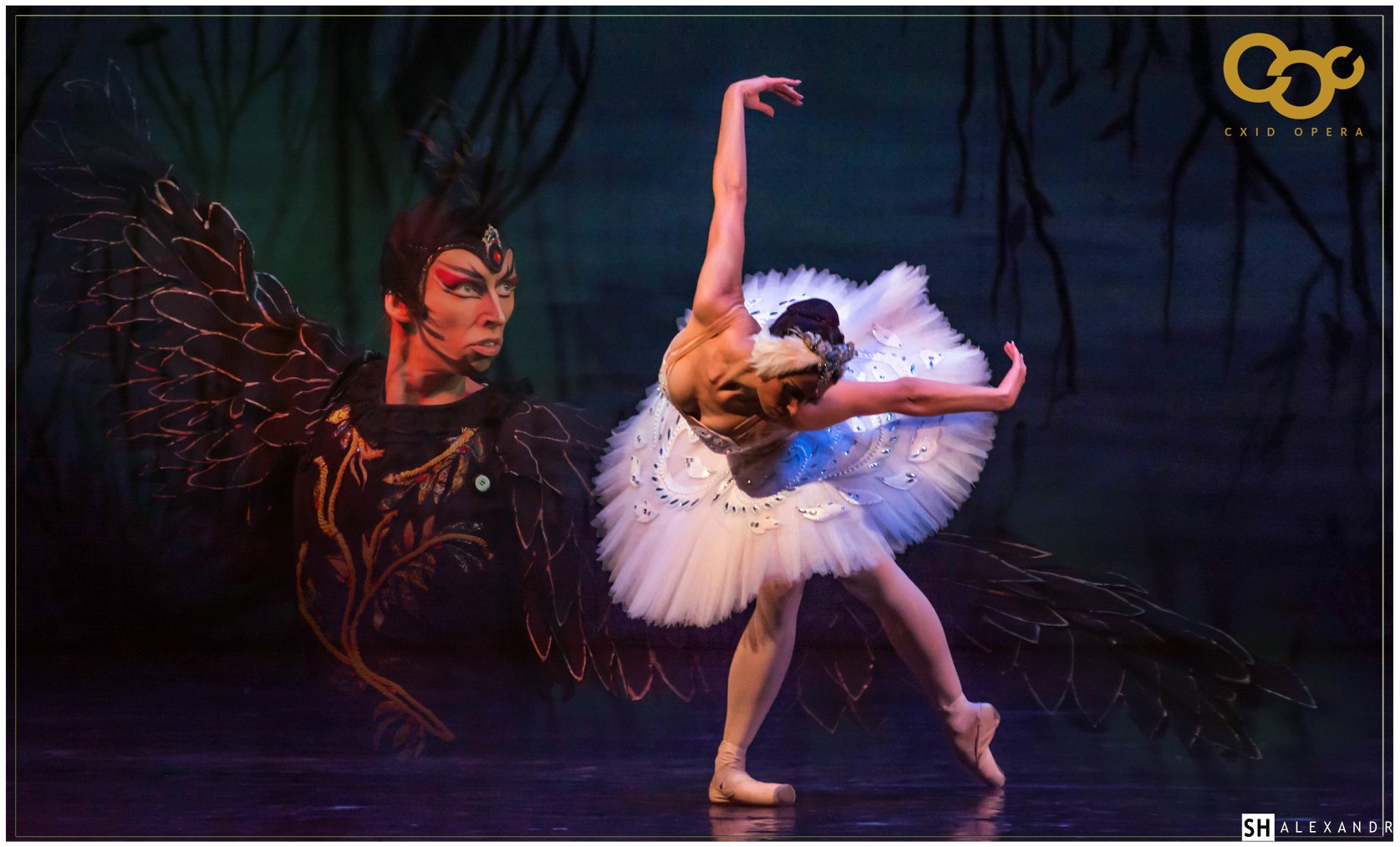 Балет "Лебединое озеро".