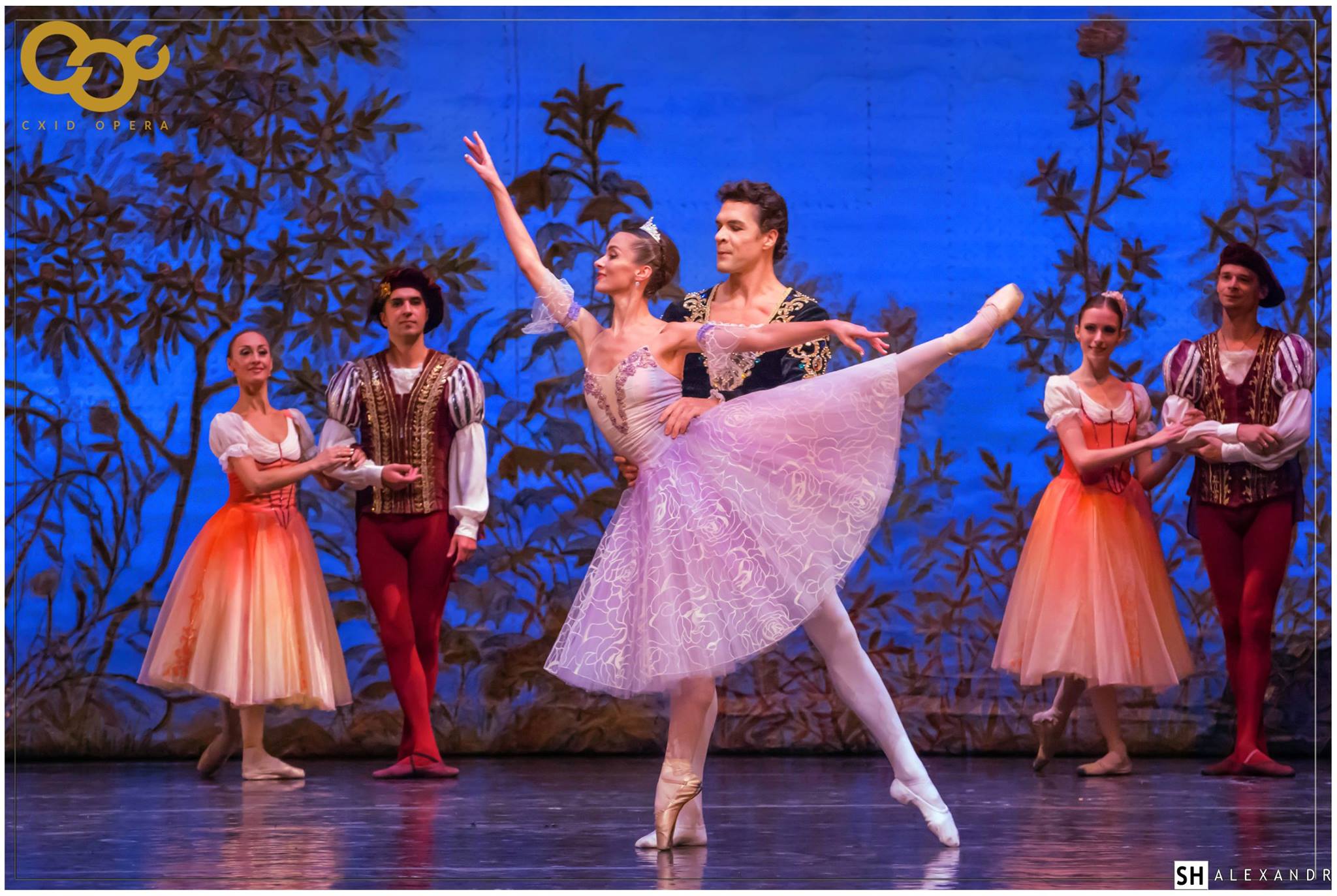 Балет "Лебединое озеро".