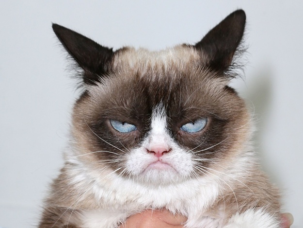 Спектакль "Кыся" в ТКЦ