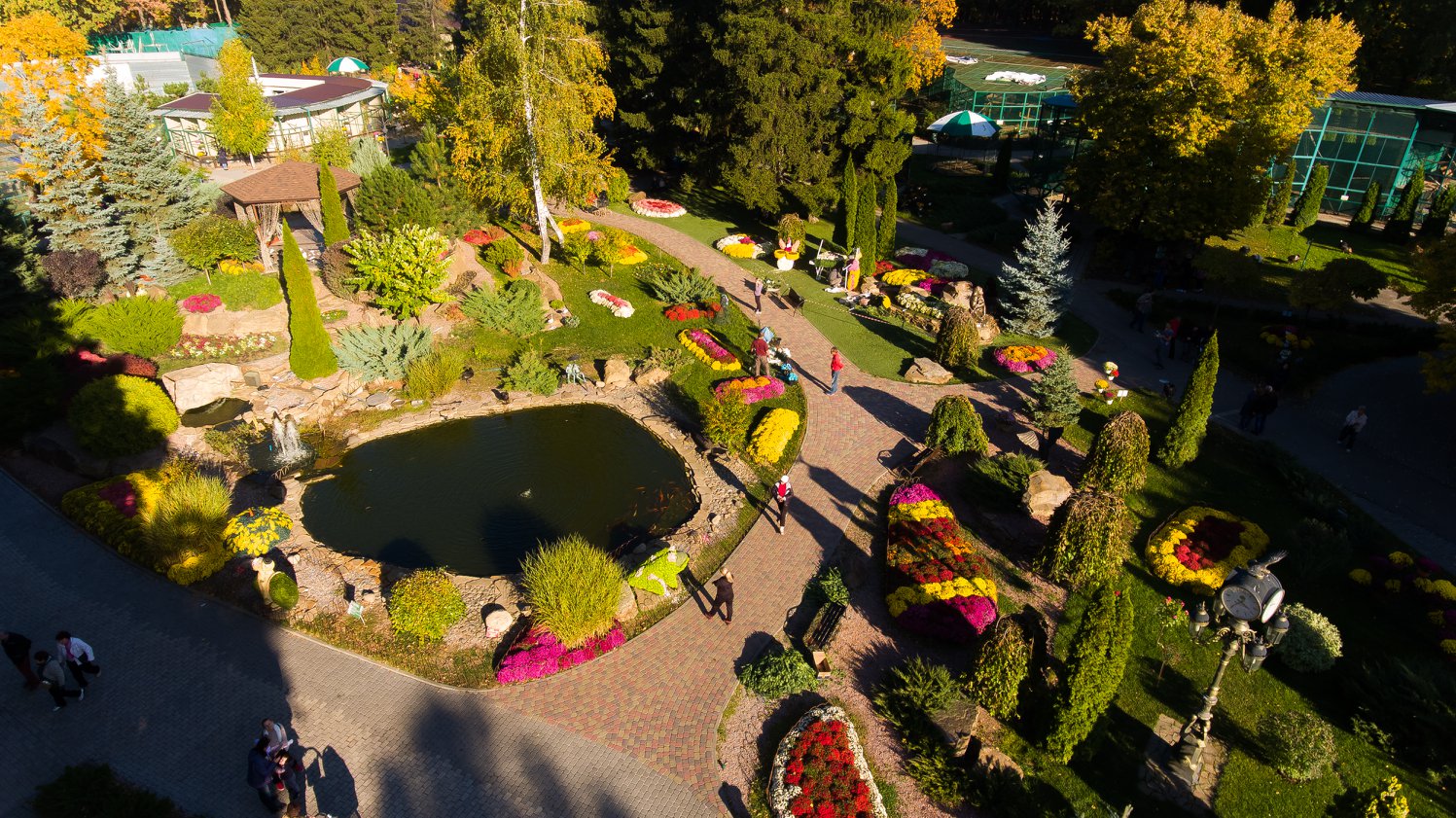 Бал хризантем в Экопарке: фото 2