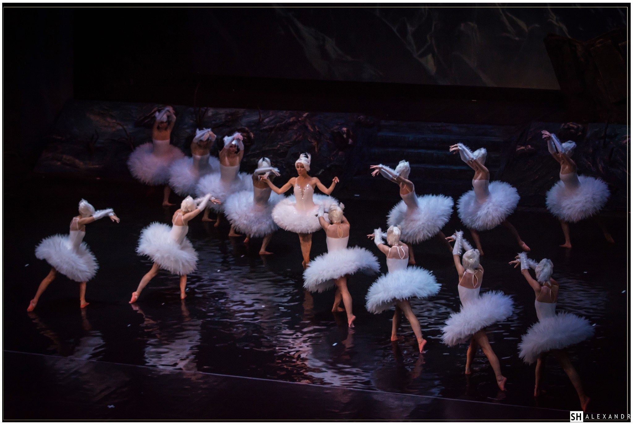 Лебединое озеро на воде.