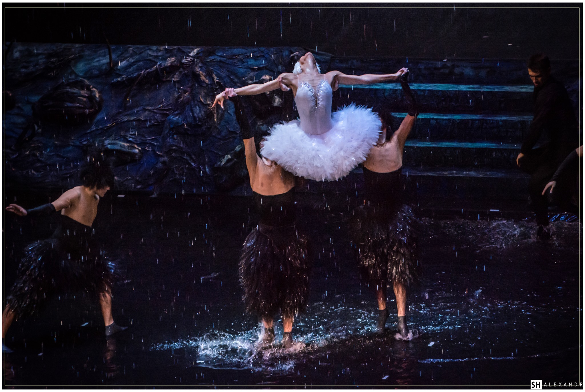 Лебединое озеро на воде.