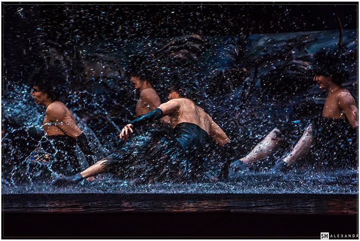 Лебединое озеро на воде.