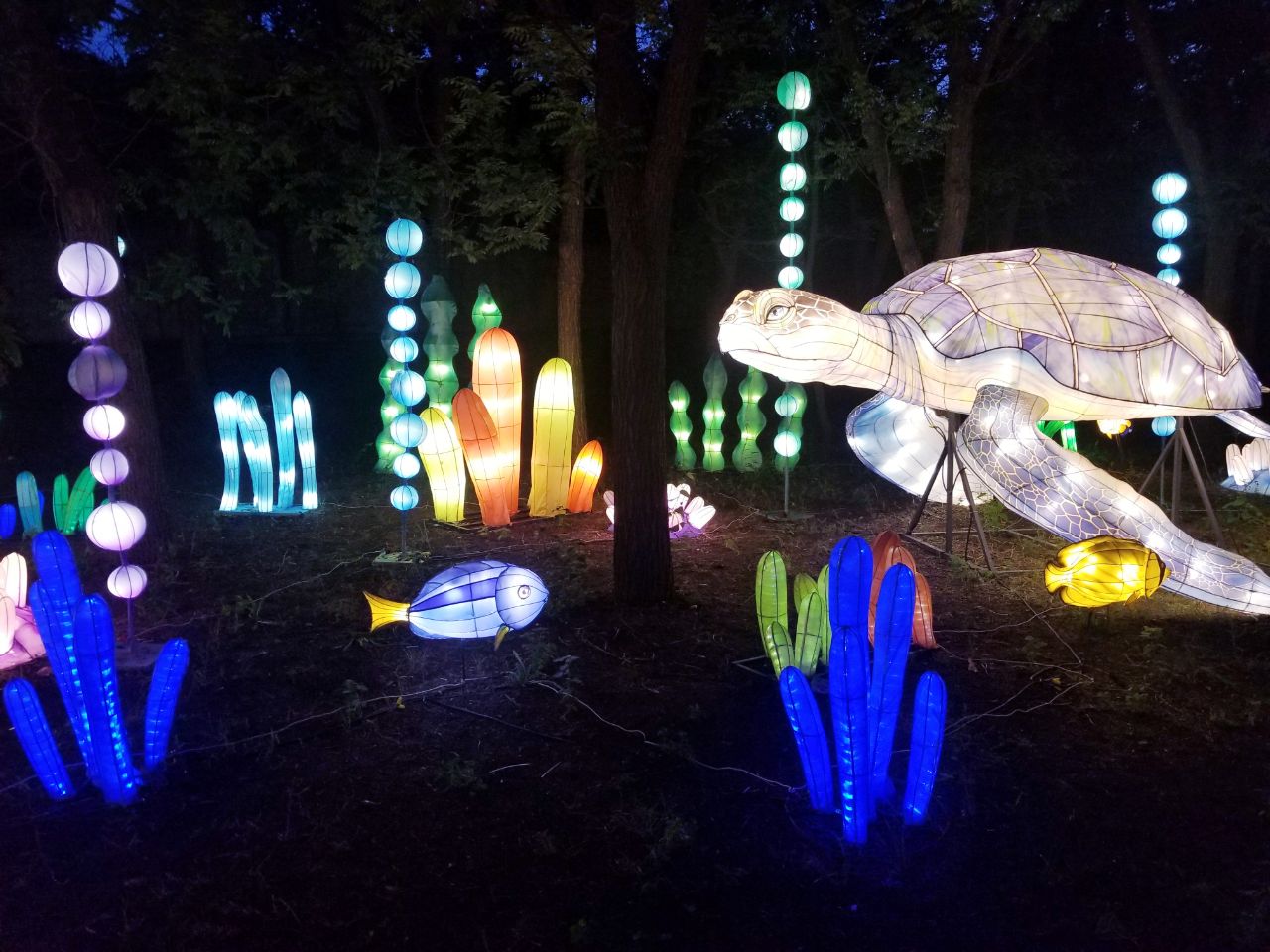 Фестиваль гигантских китайских фонарей: фото 5