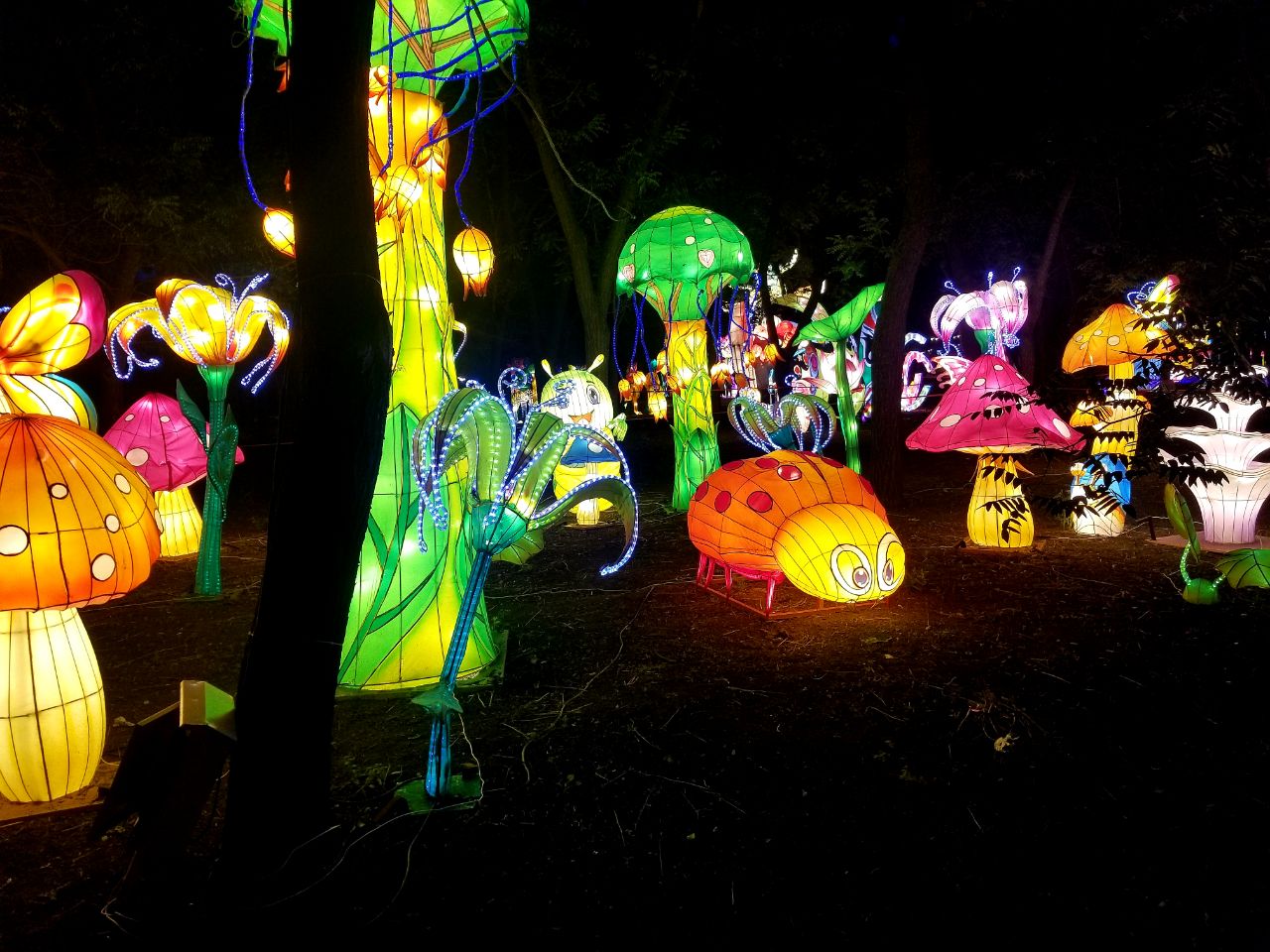 Фестиваль гигантских китайских фонарей: фото 4