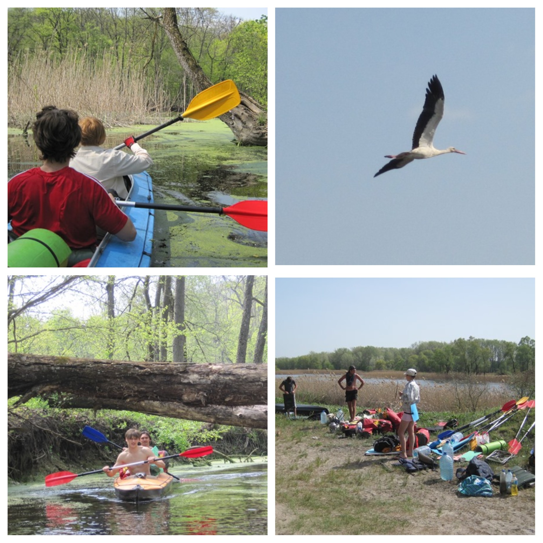 Походы, сплавы, авторские экскурсии: что предлагают туристические клубы Харькова