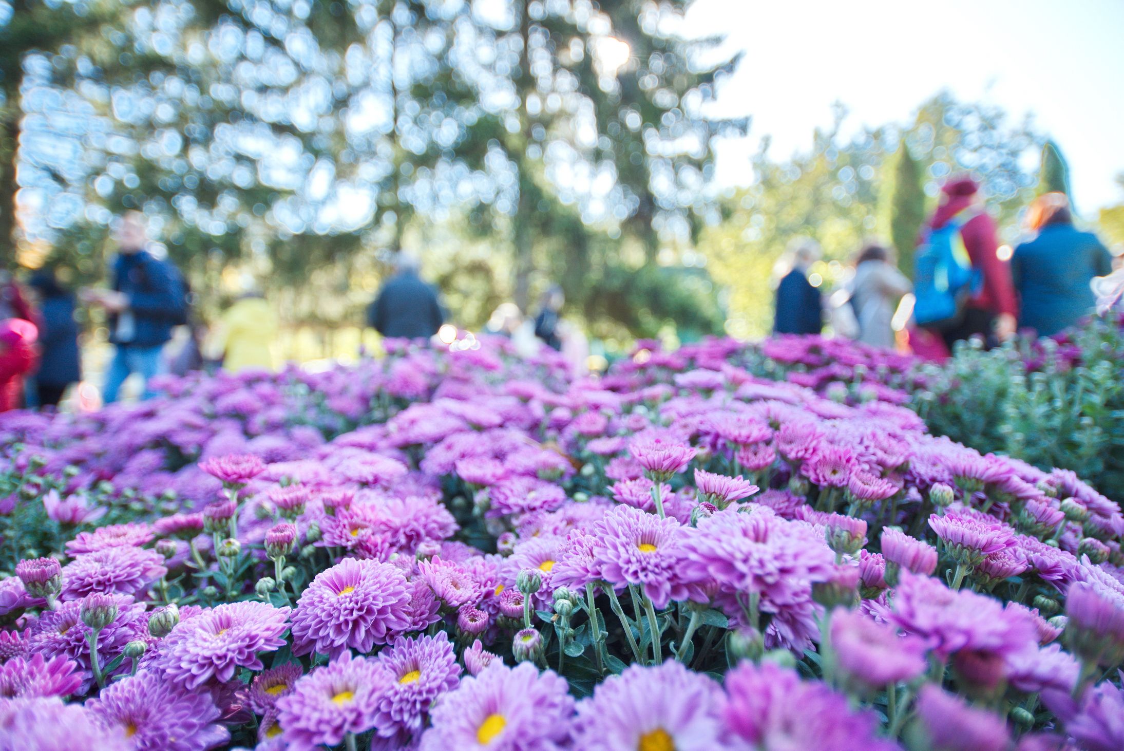 Афиша Харькова: куда пойти на этих выходных (2-3 октября) фото 3 2