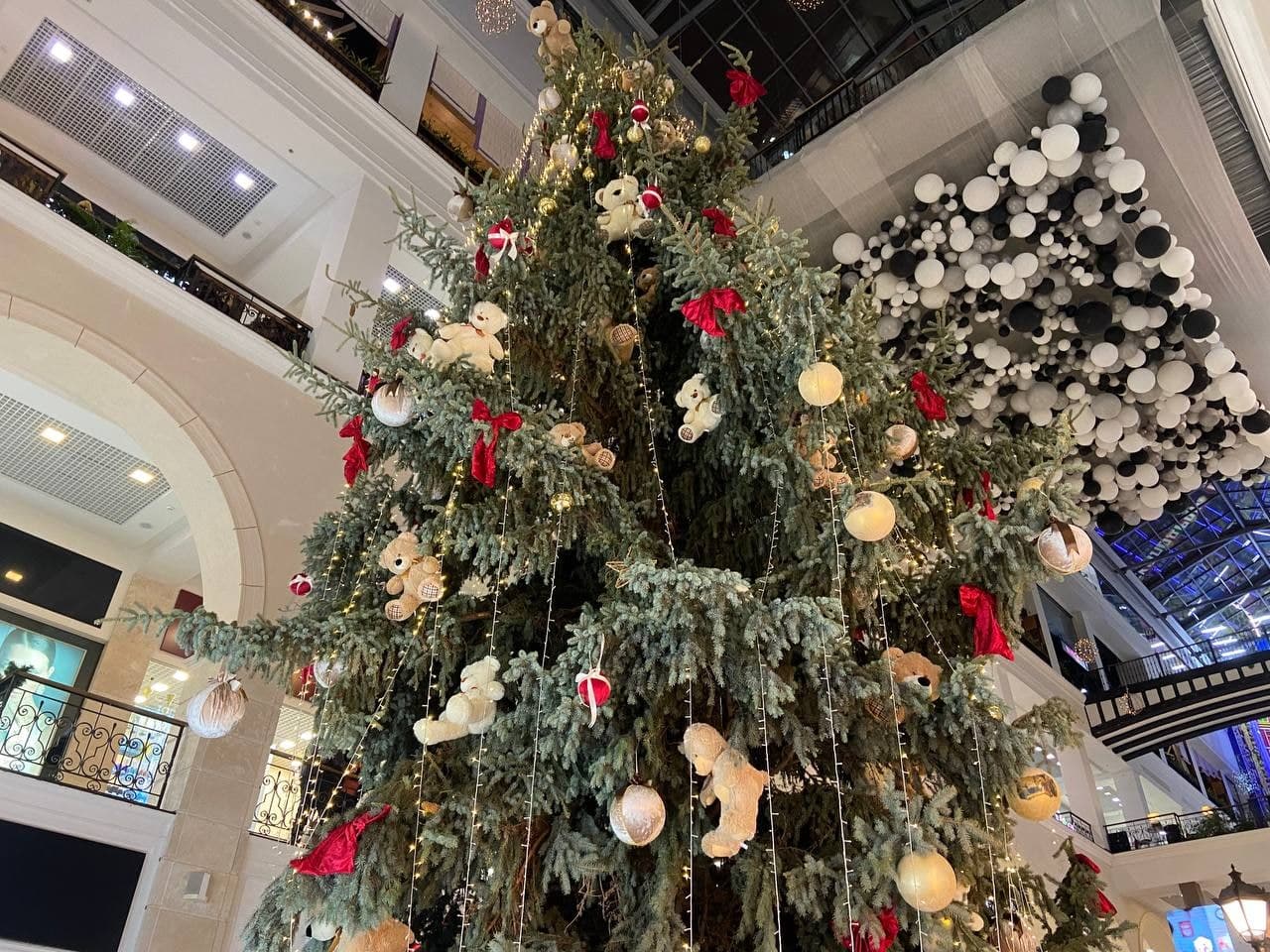 Ёлка во "Французском бульваре".