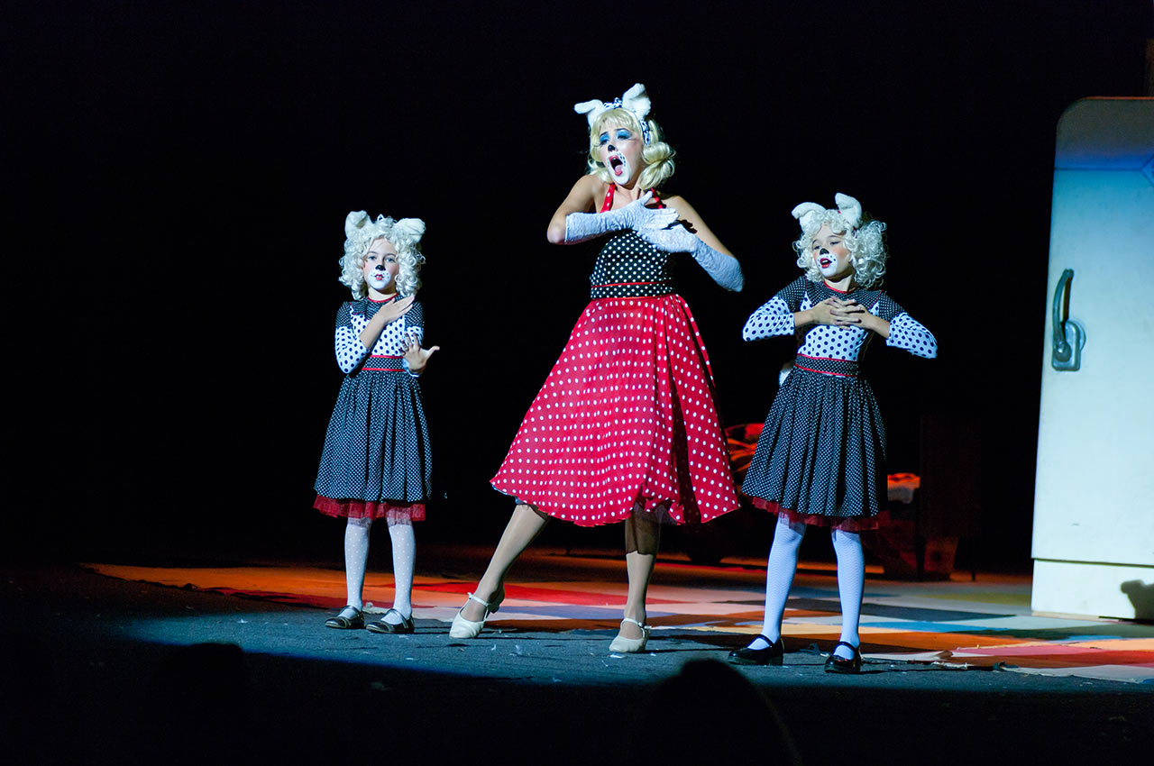 Театр Шевченко. "Веселые приключения Пифа": фото 1