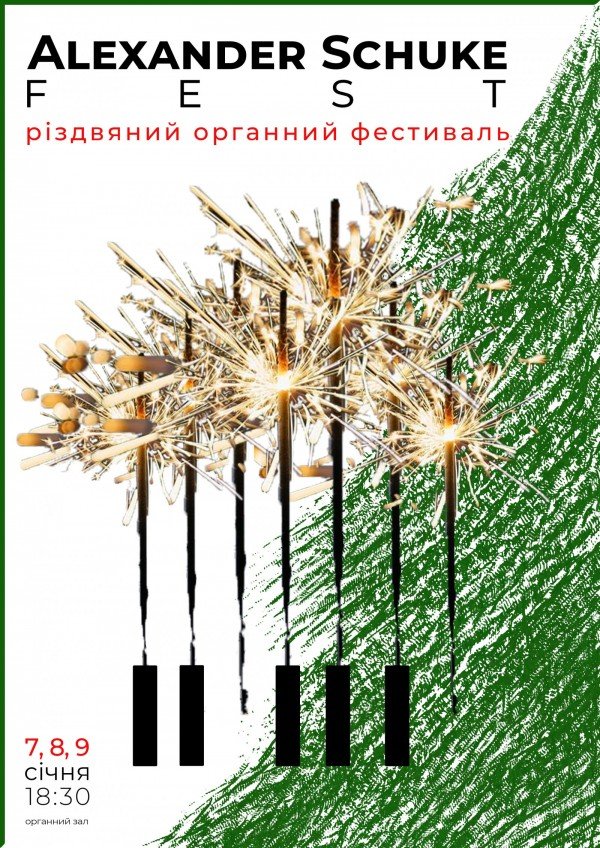 Рождественский органный фестиваль Alexander Schuke Fest: фото 1