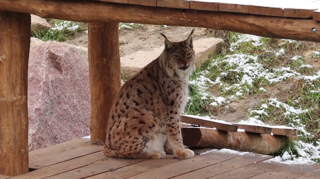 Выходные в Харьковском зоопарке.