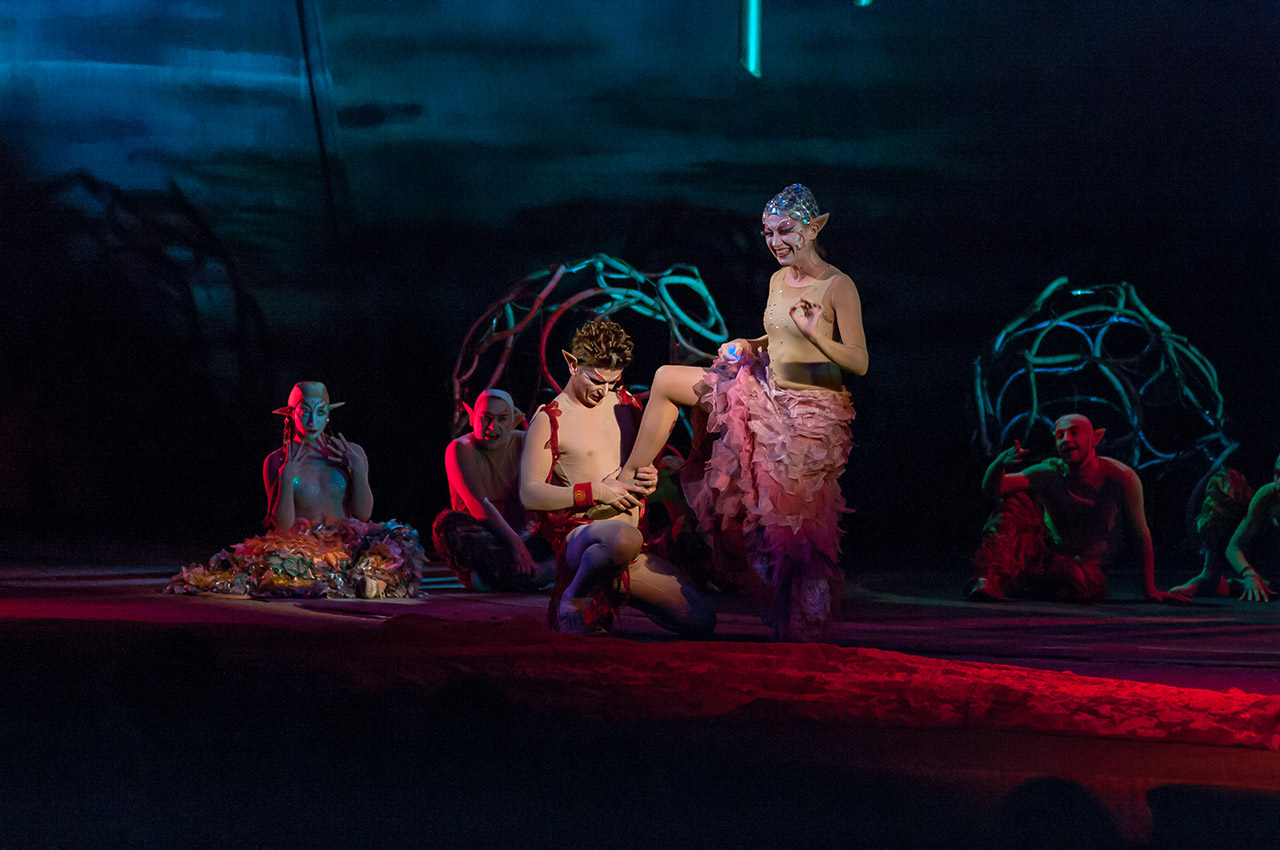 Сон в летнюю ночь: фото 1