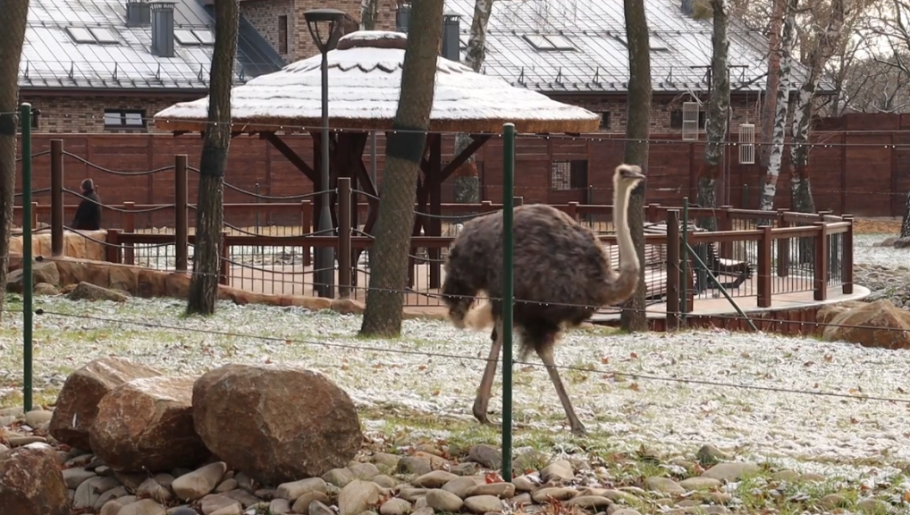 Выходные в Харьковском зоопарке.