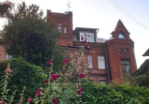 Вечеринка с вином и винилом, экскурсия в Гомольшанский парк, кино на воздухе: куда пойти на выходных в Харькове фото 10 9