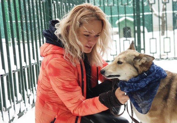 Выгул собак