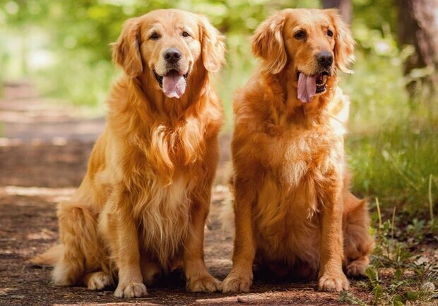 Осень в разгаре: куда пойти в Харькове в октябре фото 26 25