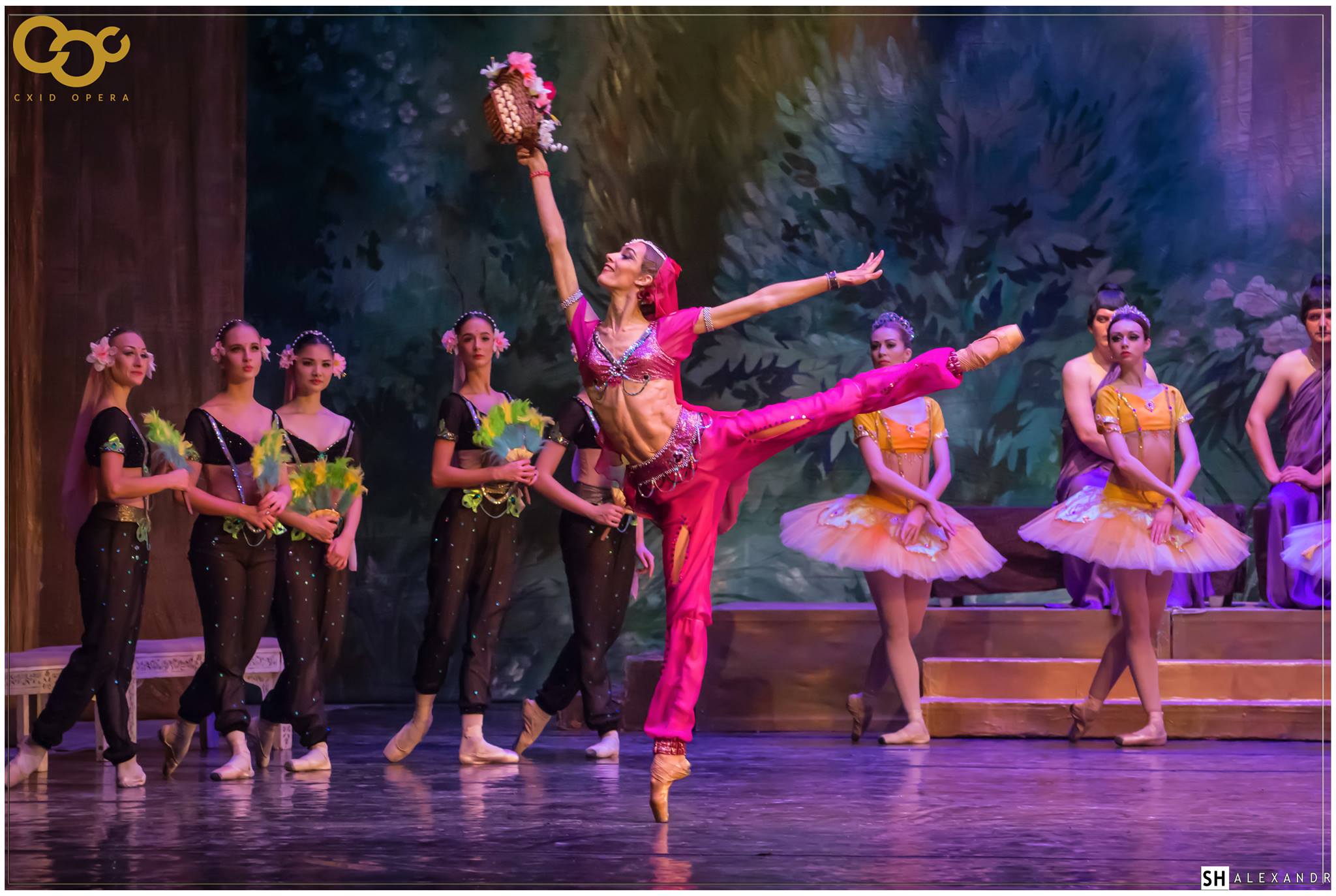 Балет «Баядерка».