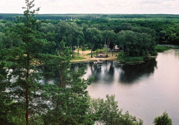 Вечеринка с вином и винилом, экскурсия в Гомольшанский парк, кино на воздухе: куда пойти на выходных в Харькове фото 4
