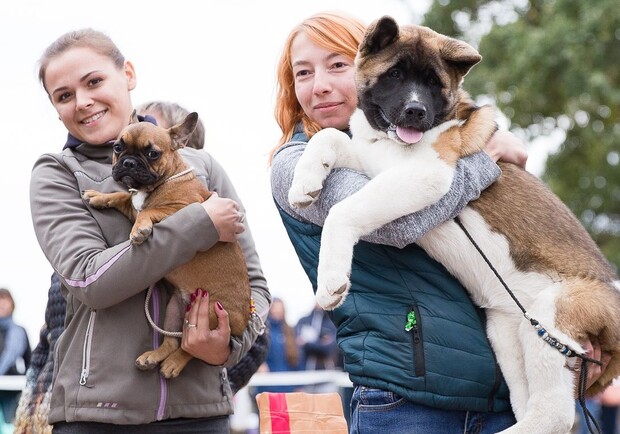 Все краски осени: куда пойти в сентябре в Харькове  фото 8 7