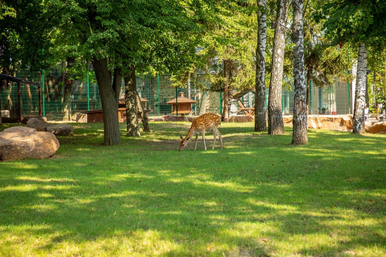 Новые животные в Харьковском зоопарке
