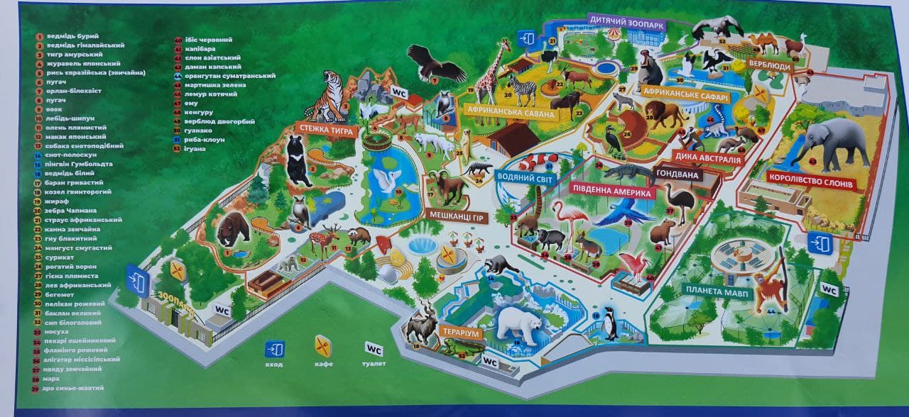 Смотри фото и видео: в Харькове открыли зоопарк после реконструкции фото 13 12