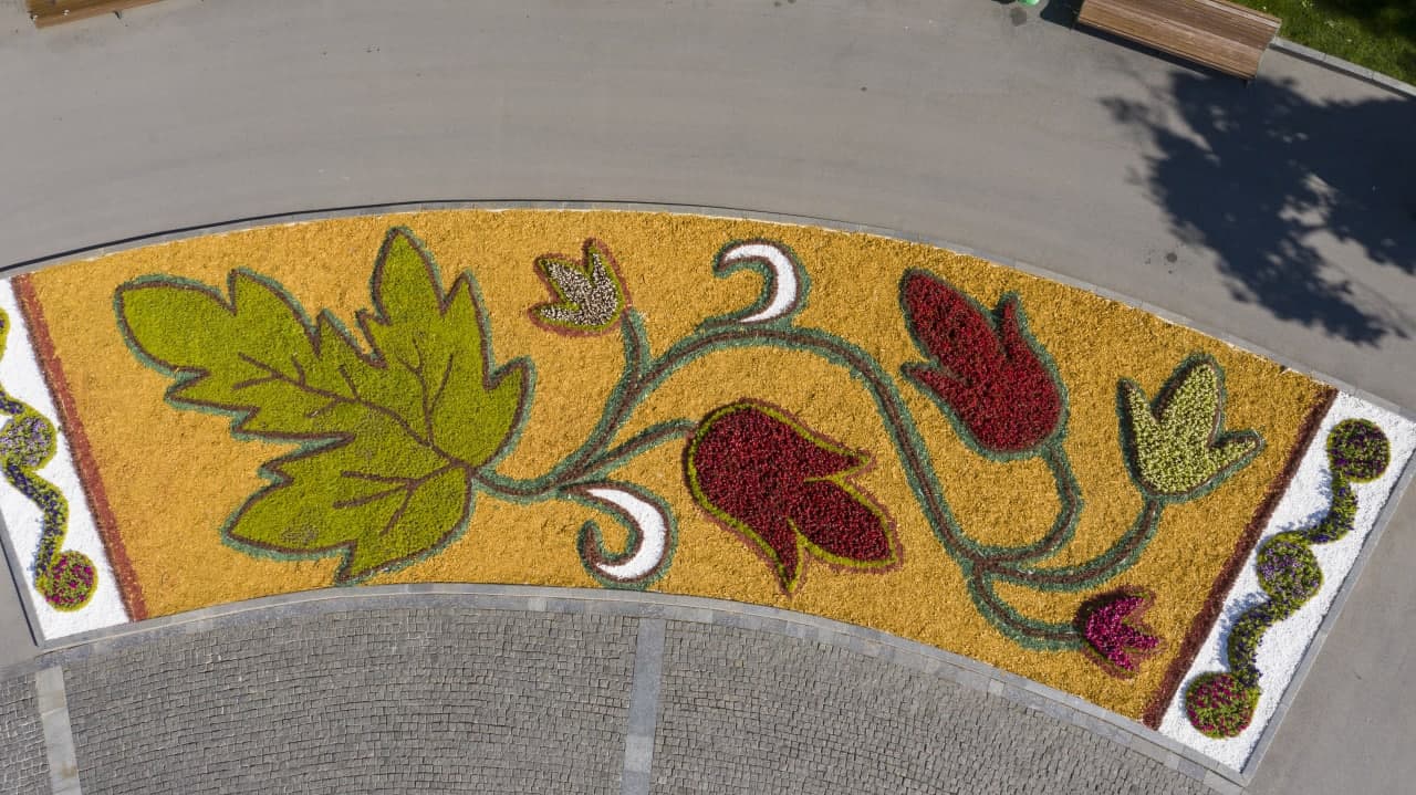 Каждая клумба — уникальная: в этом сезоне в Харькове высадили рекордное количество цветов  фото 2 1