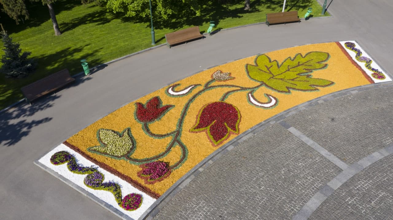Каждая клумба — уникальная: в этом сезоне в Харькове высадили рекордное количество цветов  фото 1