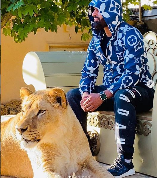 По Харькову ездит лев: стало известно, кто хозяин хищника  фото 4 3