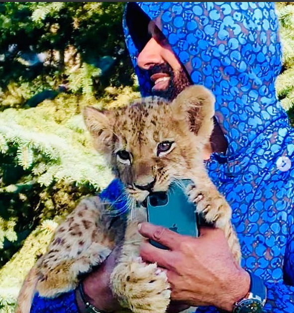 По Харькову ездит лев: стало известно, кто хозяин хищника  фото 2 1