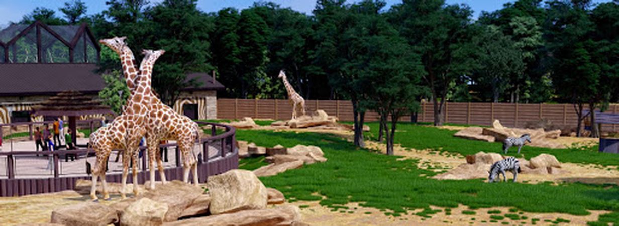 Фотофакт: в харьковском зоопарке показали, как будут жить обитатели «Африканской саванны» фото 1