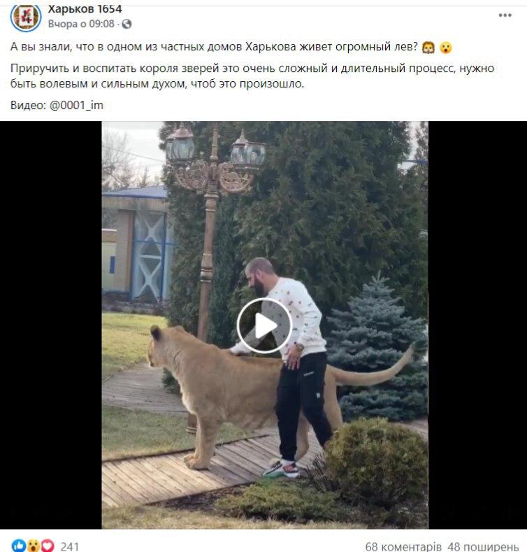 По Харькову ездит лев: стало известно, кто хозяин хищника  фото 1