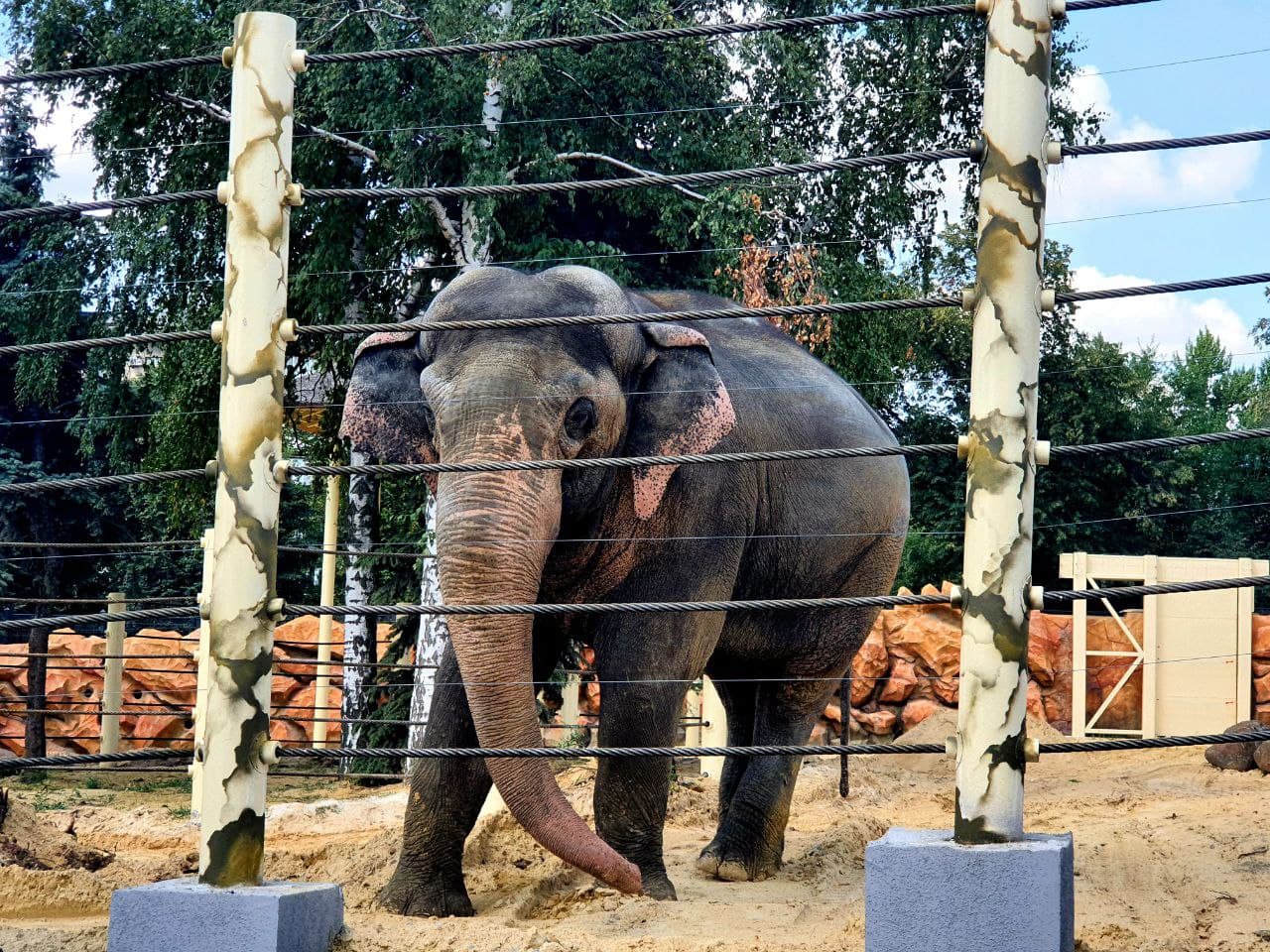 Смотри фото и видео: в Харькове открыли зоопарк после реконструкции фото 2 1