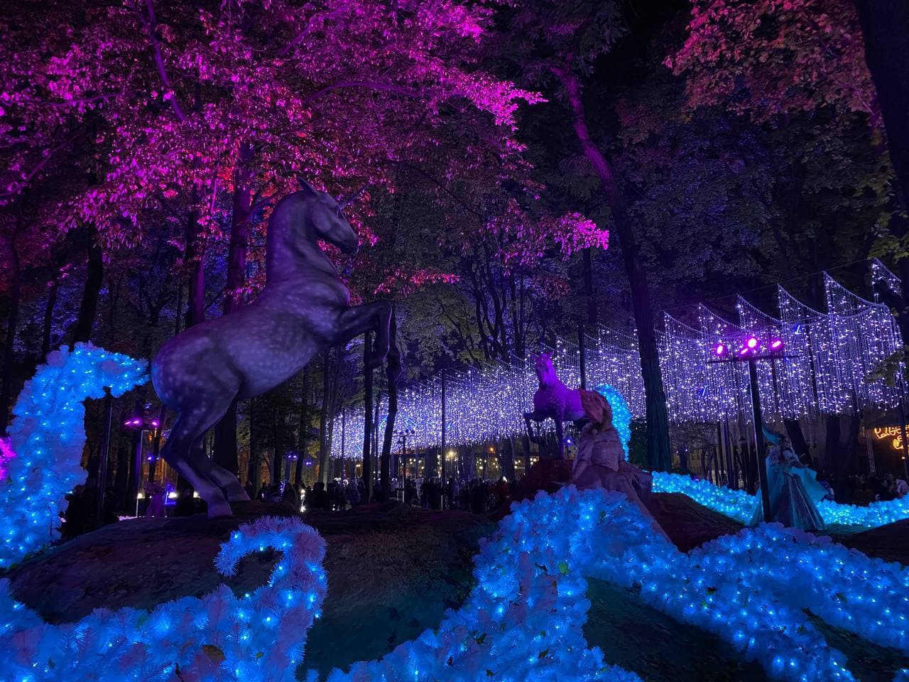 Магия света и творчество: возле "Металлиста" открылось креативное пространство "фэнтези-парк" фото 4 3