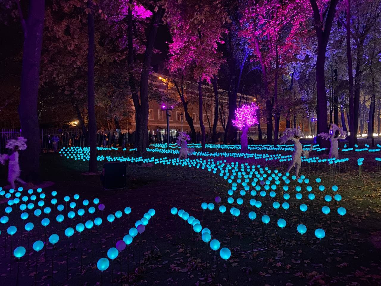 Магия света и творчество: возле "Металлиста" открылось креативное пространство "фэнтези-парк" фото 7 6