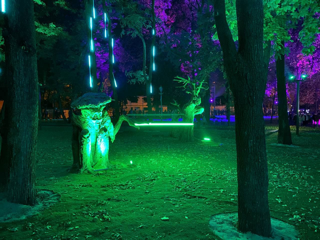 Магия света и творчество: возле "Металлиста" открылось креативное пространство "фэнтези-парк" фото 6 5