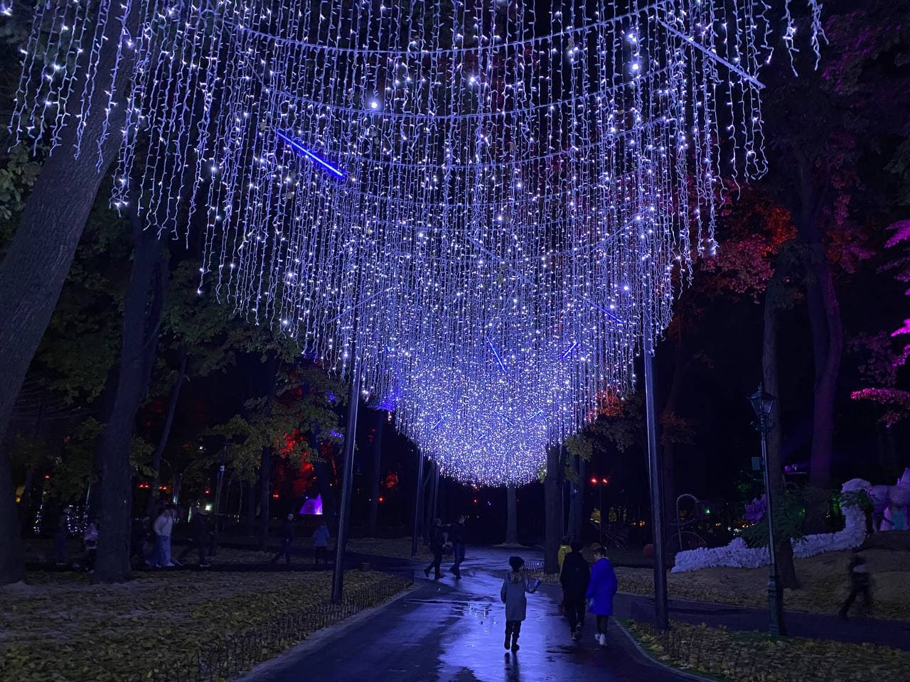 Магия света и творчество: возле "Металлиста" открылось креативное пространство "фэнтези-парк" фото 5 4