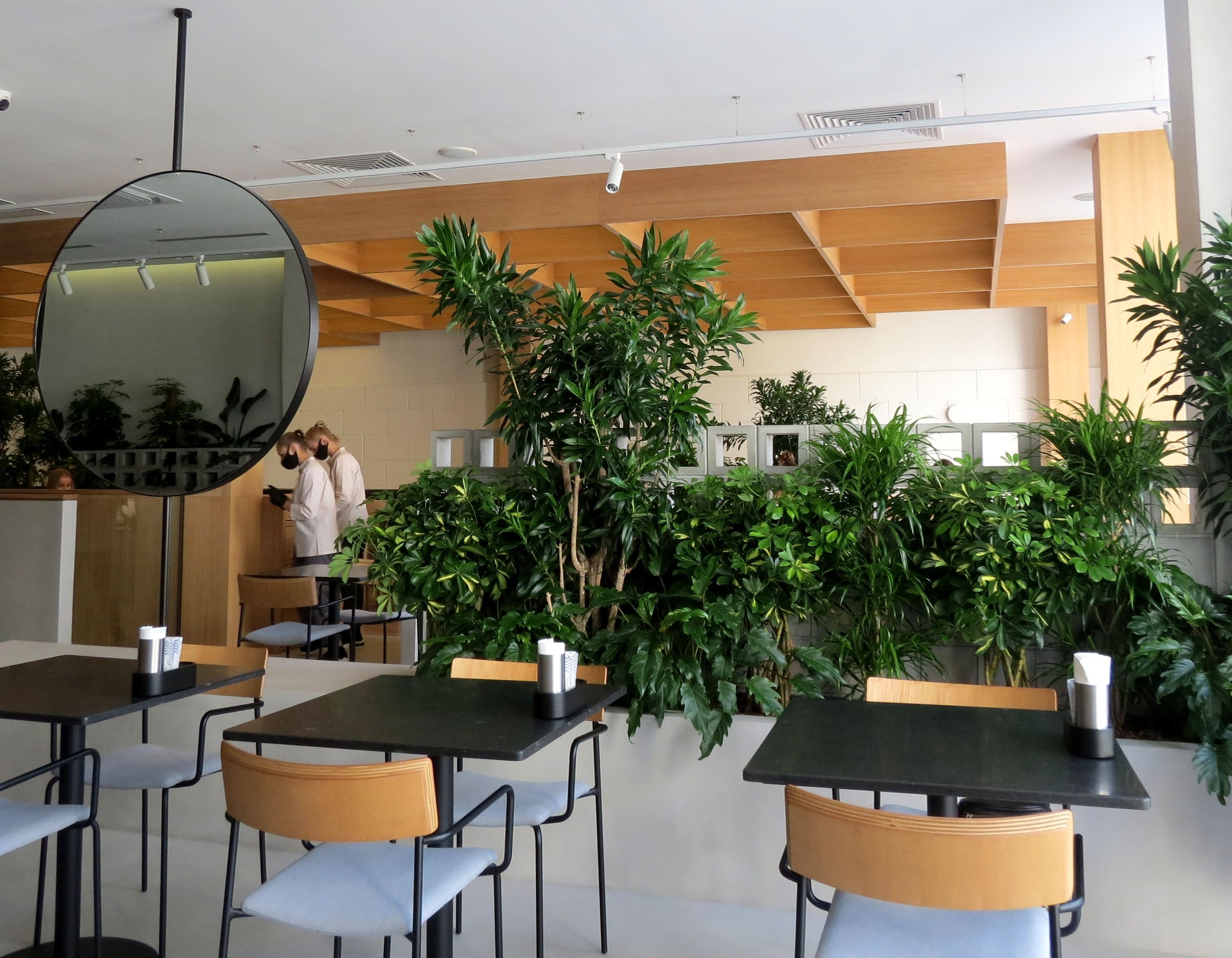 Интерьер нового ресторана Япошка в Харькове напоминает зимний сад