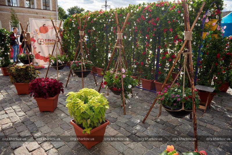 Продукты, одежда, вакансии: на этих выходных на площади Свободы проходит ярмарка фото 3 2