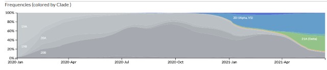 Назвали дату: индийский штамм может спровоцировать в Украине новую волну коронавируса фото 1