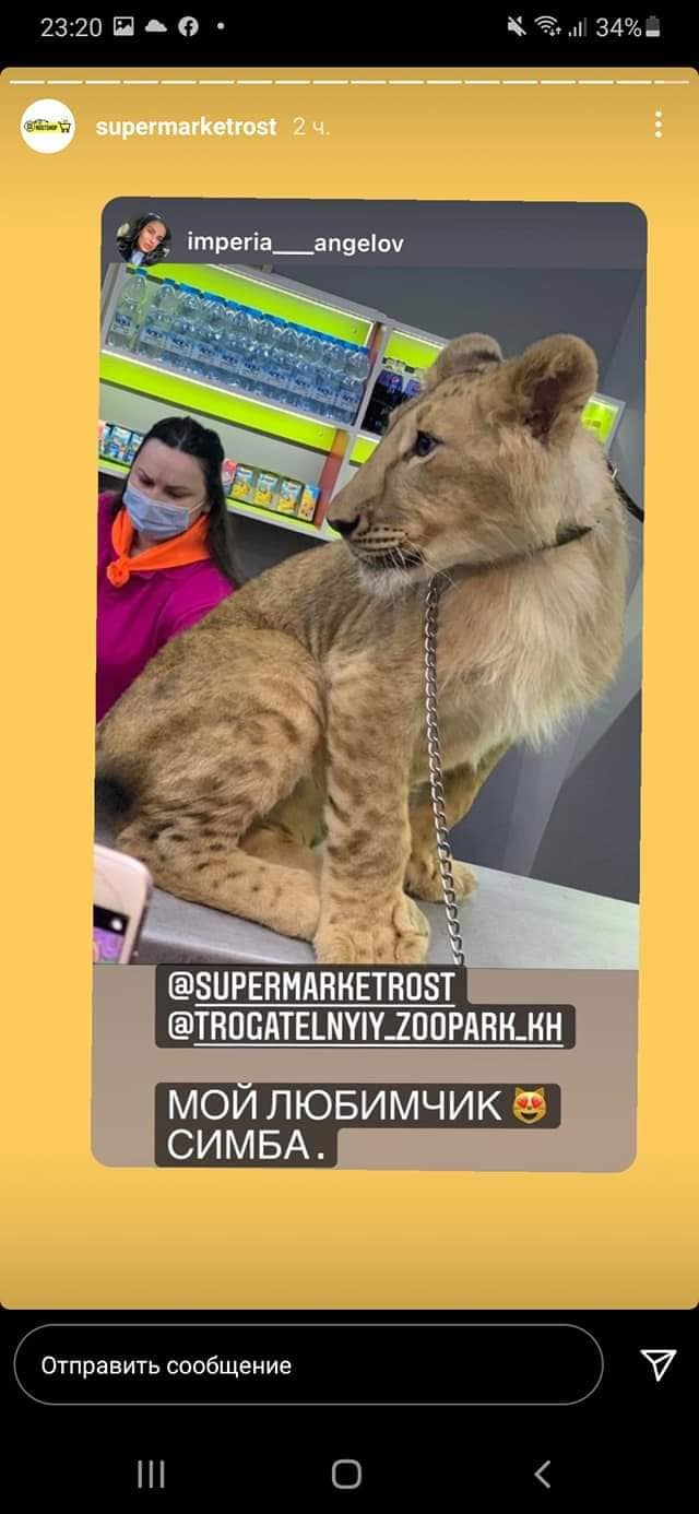 Некоторым покупателям понравился лев в супермаркете. Фото: 2day.kh.ua