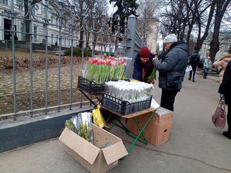 Тюльпаны и мимозы: почем продают цветы к 8 марта уличные торговцы в Харькове фото 1