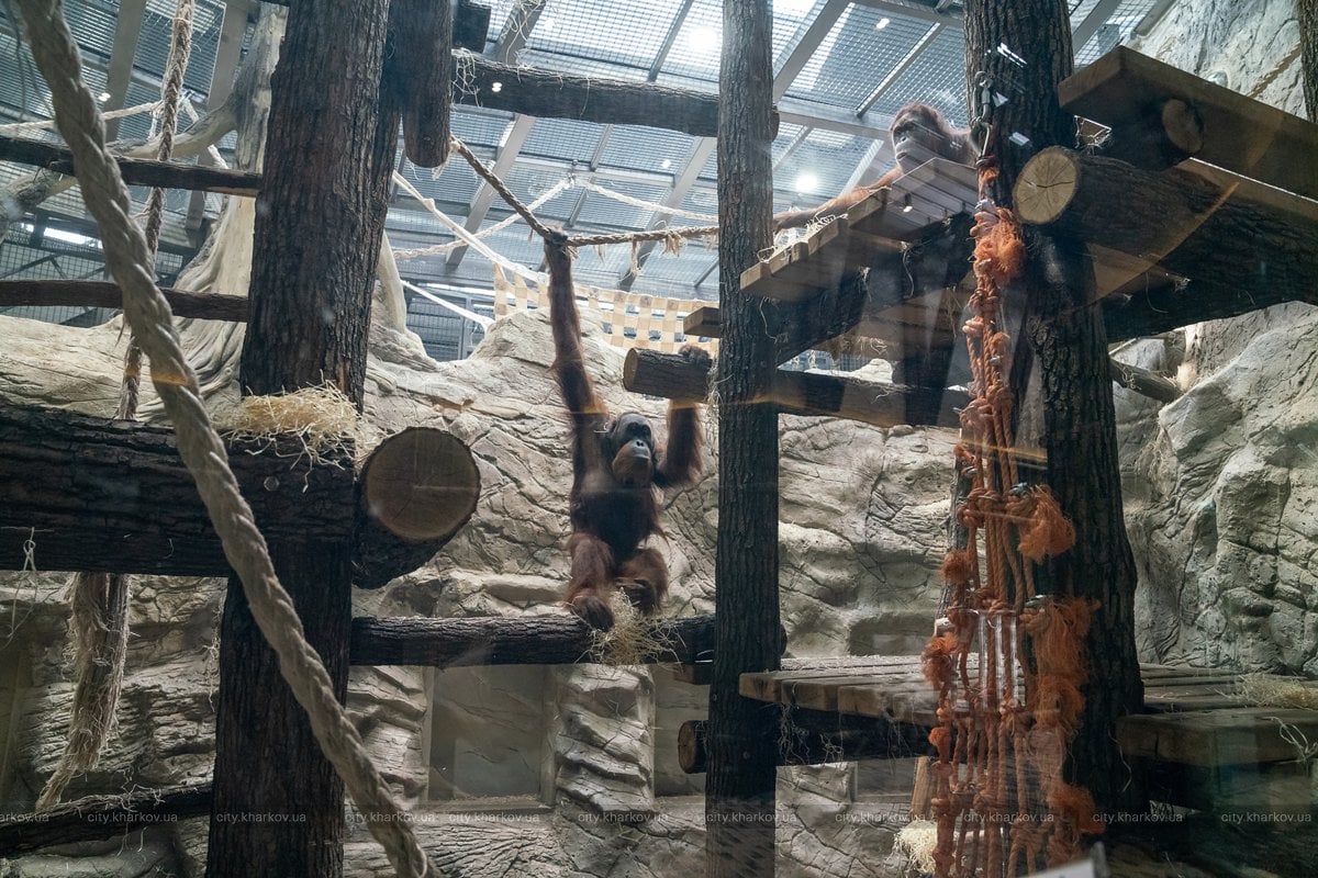 Фото: facebook.com/kharkovgovernment