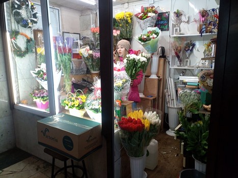 Тюльпаны и мимозы: почем продают цветы к 8 марта уличные торговцы в Харькове фото 2 1