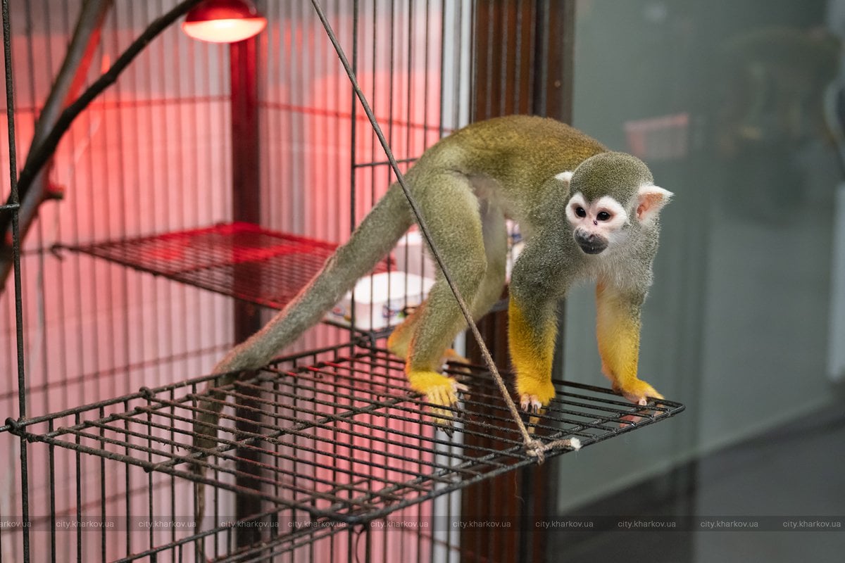 Фото: facebook.com/kharkovgovernment