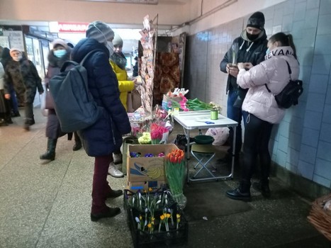 Тюльпаны и мимозы: почем продают цветы к 8 марта уличные торговцы в Харькове фото 3 2